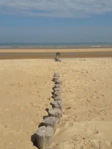 infirmière La Varenne Saint Hilaire – Schela Fertil à Saint-Maur-des-Fossés