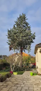 Vert Passion Services à Orgeval