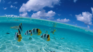 Cabinet De Soins Infirmiers Mr BOUTIN Pascal à Marguerittes