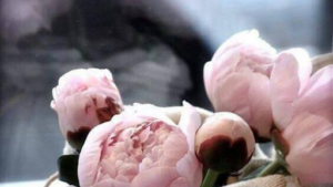 Gossez Virginie à Tremblay-en-France