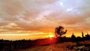 Marjorie BONO à Ampus