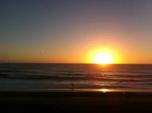 Boutin Alice à Seignosse