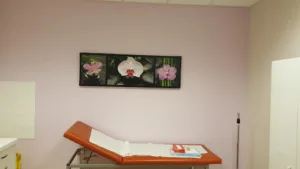 Cabinet infirmier Levaillant toyer Barbottin à Blois