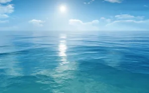 Sophie AVON/ FILLARDET Laura DESCOMBES à Caluire-et-Cuire