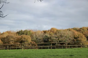 Farm Equestre Randoloisirs à Berrien