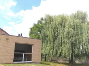 Aymeric Eeckman, Praticien en énergétique chinoise et sophrologie, Lambersart à Lambersart