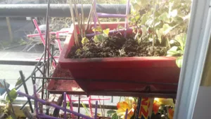 Oncoloiret à Orléans