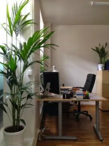 Infirmiers SCM à Clichy