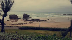 Marine Duchemin à Saint-Germain-en-Laye