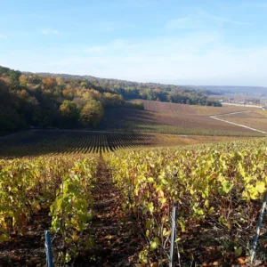Vernet Carole – Infirmière libérale à Avenay-Val-d'Or