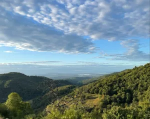 Anthony Infirmiere Libéral.e. Ceyrat Soins Domicile Fernandes à Ceyrat