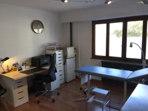 CABINET INFIRMIER RICHARD à Saint-Julien-en-Genevois