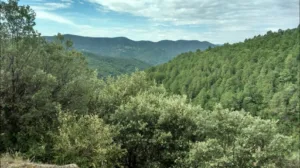 Cabinet infirmier Cuenca carole – Munier-marsollier isabelle à Laval-Pradel