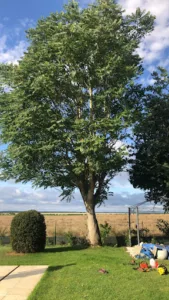 Cabinet Infirmier de Quincy-Voisins à Quincy-Voisins