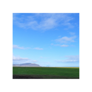 Boudiak Catherine à Saint-Maur-des-Fossés