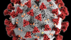 Cabinet infirmiere à Perpignan sud Cathy Rozes à Perpignan