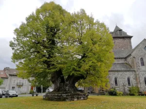 St Simon 160 à Aurillac