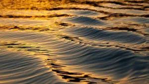 Infirmier Hadrine Hani à Le Pontet