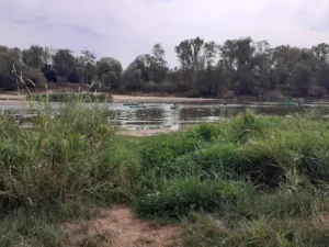 Rouzier Nathalie à Joué-lès-Tours