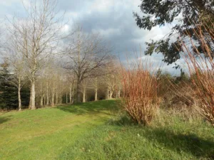 Objectif Emploi Solidarite à Quimper