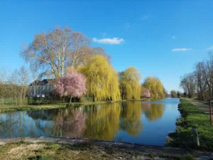 Rochette Françoise à Tronchoy