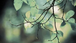Labourg Line à Pierrefitte-sur-Seine