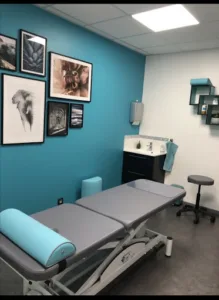 Gauffroy naudin Charlotte et El idrissi Fatima- Infirmières à Charleville-Mézières à Charleville-Mézières