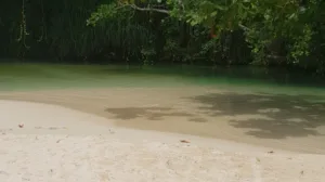 Cabinet infirmier Milène SAINT-CLAIR à Groslay