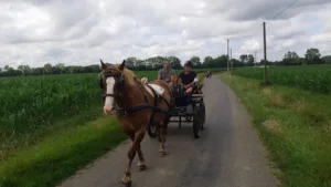 Csapa Le Val D Adour à Lafitole