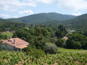 George Axel à Bormes-les-Mimosas