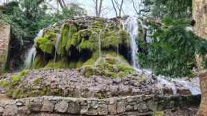 Carine Ferraris à Marseille