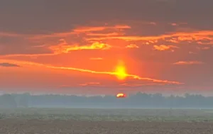 Cabinet infirmier de Beurlay Élodie Mesuron à Beurlay