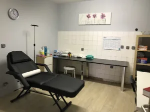 Bessaz Marie-Laure à Moidieu-Détourbe