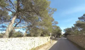 Bouffier Denis à Nîmes