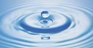 MICHELIER Sandra à Saint-Cyr-sur-Mer