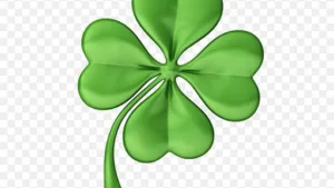 Cabinet infirmier SILMI à Les Ulis