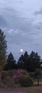 des Clochettes SCM à Vénissieux