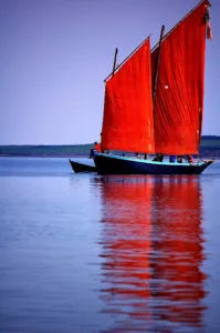 cabinet des Brosses- SOINS INFIRMIERS- à Bron