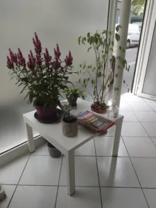 Perichon Maryvonne à Paris