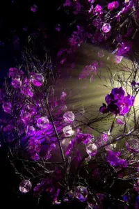 Cabinet infirmier. [D.Mur-Naget]. à Saint-Paul-en-Forêt