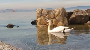 Vincenzi Michel à Châteauneuf-les-Martigues