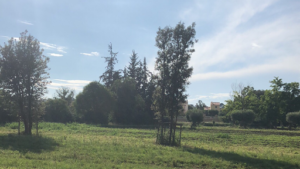 COSENTINO David à Plan-de-Cuques