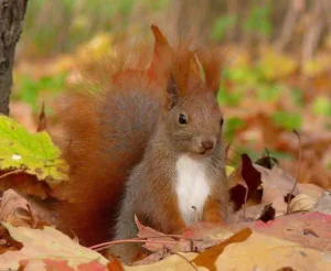 Vitry Maud et Selbonne Sylvie ( Collaboratrice) à Vaucresson