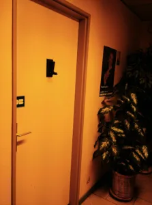 Hubschwerlin Camille à Rixheim