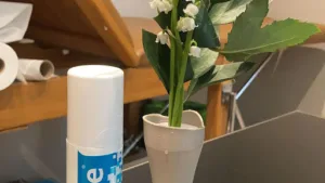 Camus Simon à Le Perreux-sur-Marne