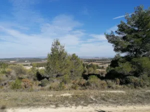 Portel des Corbières à Portel-des-Corbières