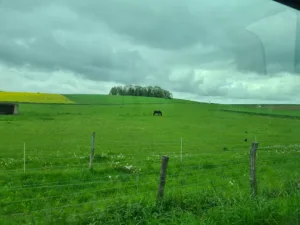 Feucherolles à Feucherolles