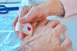 Autran Séverine Et Joly Lysiane à La Farlède