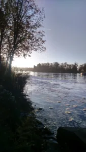 Olive Catherine à Herblay-sur-Seine