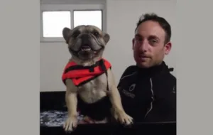 Guérin Yohan – Ostéopathe animalier OA17 à Fresnes-en-Tardenois